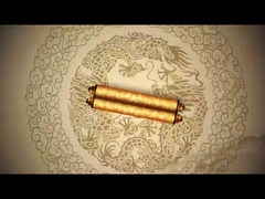 Şirket Ürün Özetleri