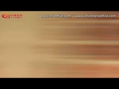 Çin Geleneksel Desenli Delikli Tuğla Duvar Bölme